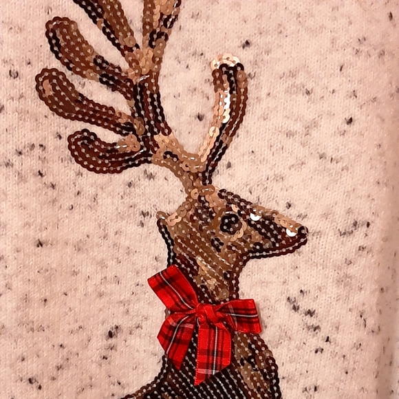 Wintery Long Sleeve Sweater - Picture 3 of 11